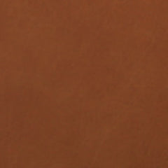 swatch_tan