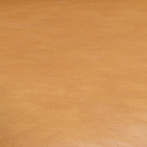 swatch_tan